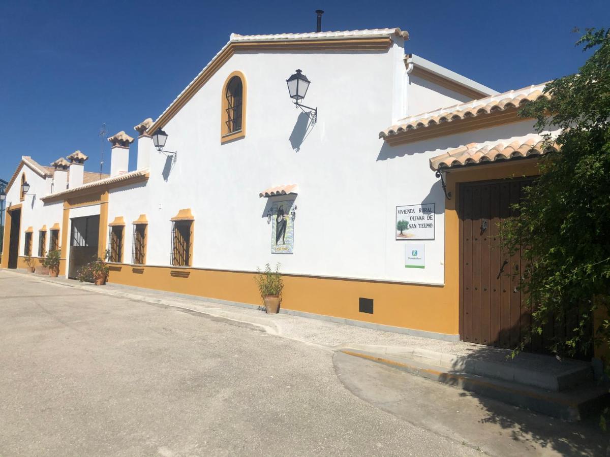 Vivienda Rural Olivar De San Telmo Arcos de la Frontera Zewnętrze zdjęcie