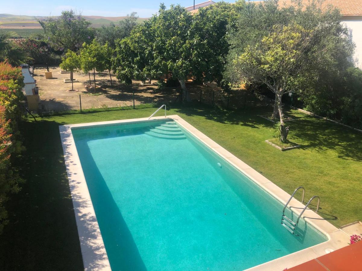 Vivienda Rural Olivar De San Telmo Arcos de la Frontera Zewnętrze zdjęcie