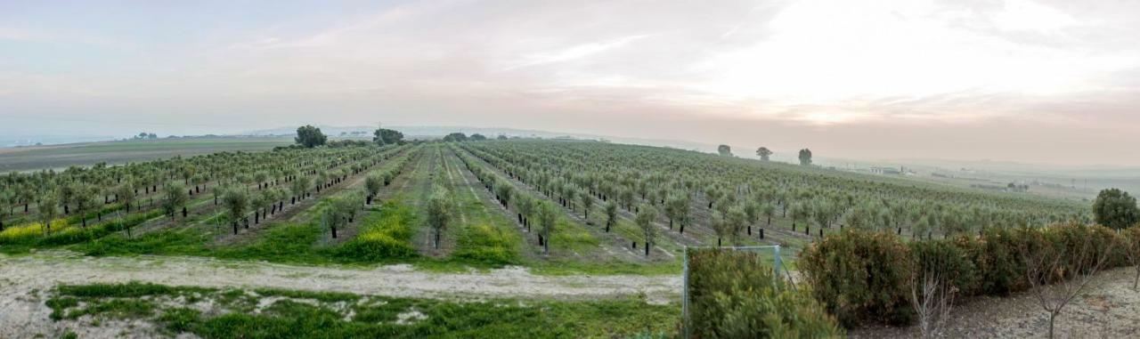 Vivienda Rural Olivar De San Telmo Arcos de la Frontera Zewnętrze zdjęcie
