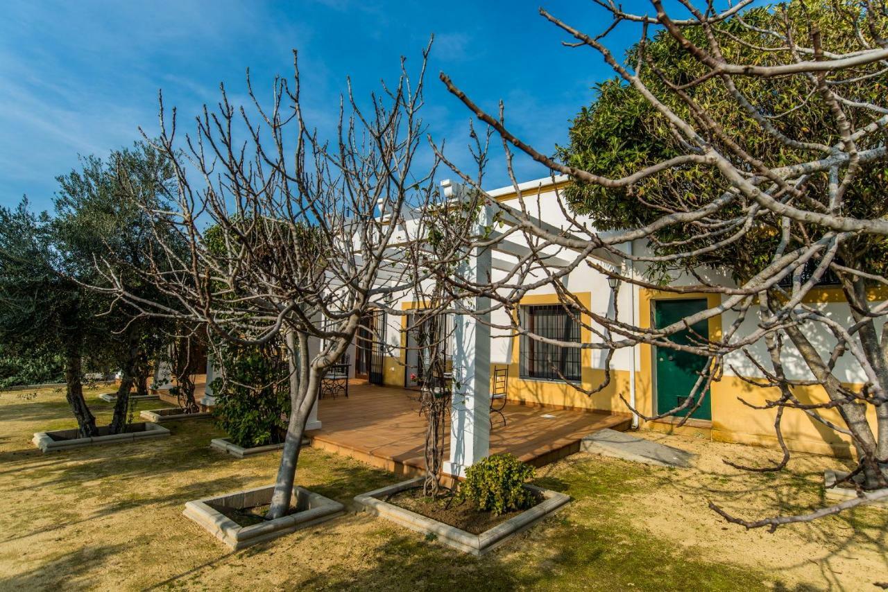 Vivienda Rural Olivar De San Telmo Arcos de la Frontera Zewnętrze zdjęcie