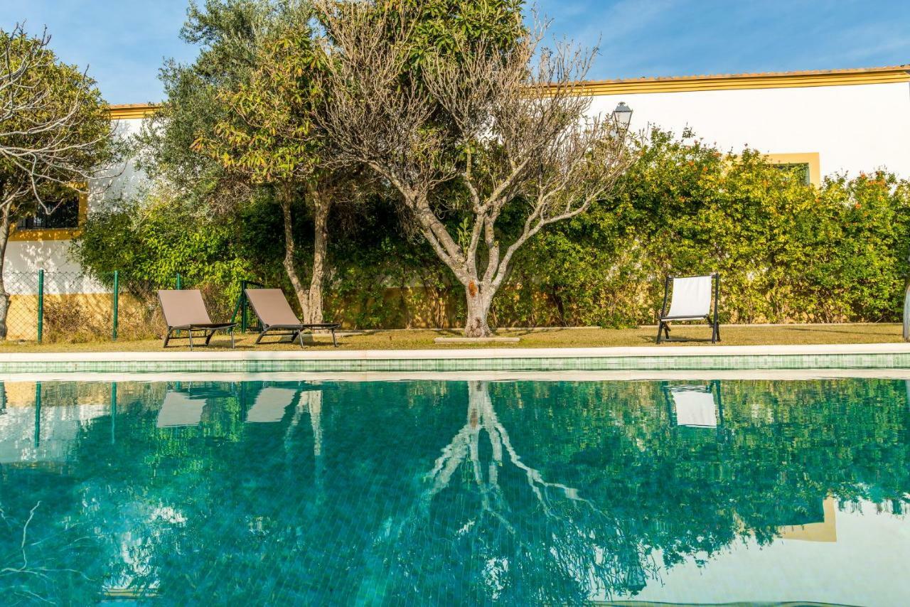 Vivienda Rural Olivar De San Telmo Arcos de la Frontera Zewnętrze zdjęcie