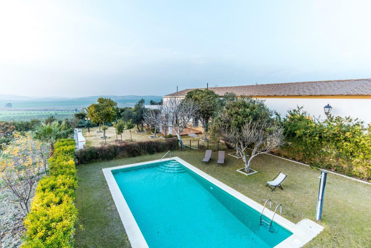 Vivienda Rural Olivar De San Telmo Arcos de la Frontera Zewnętrze zdjęcie