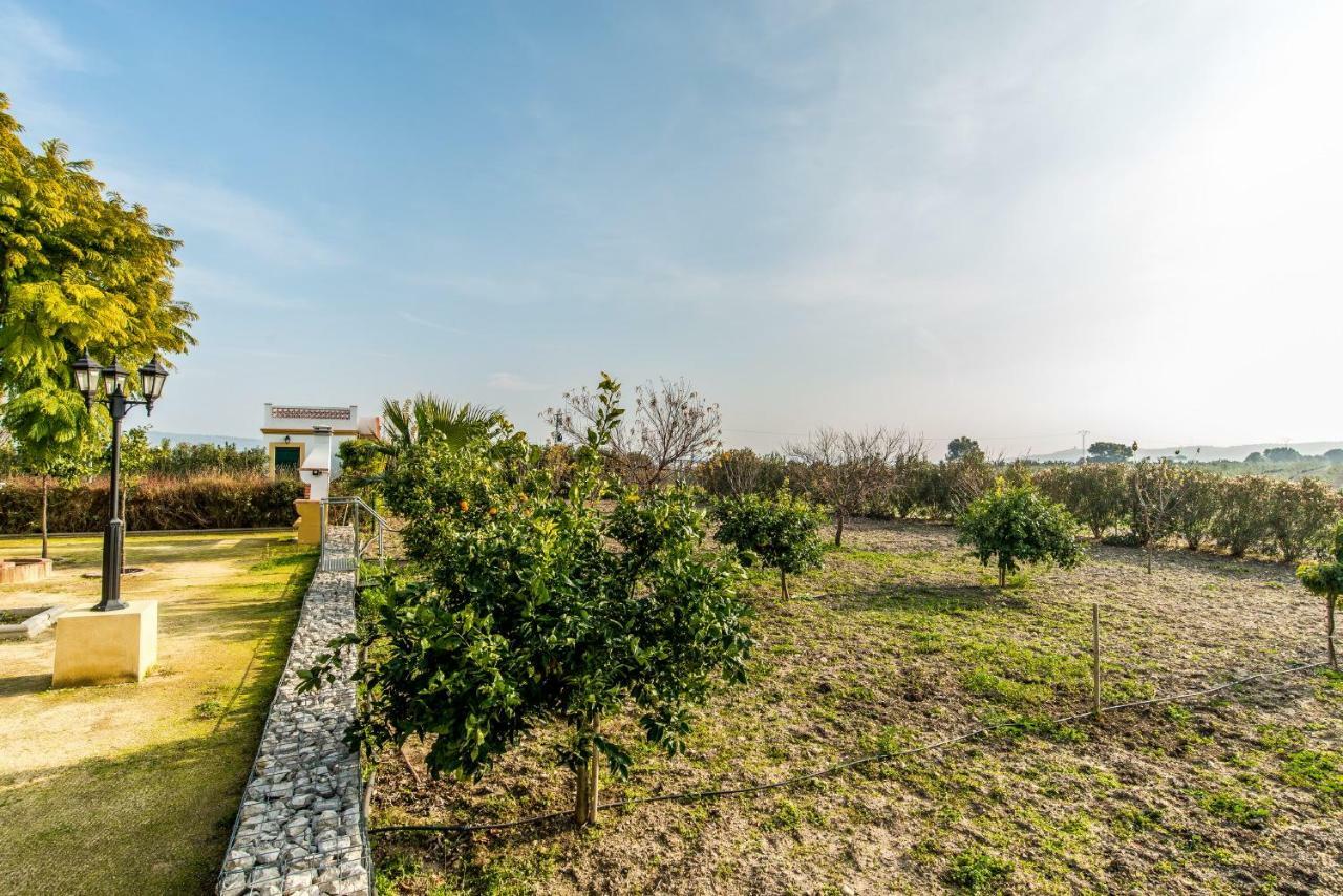 Vivienda Rural Olivar De San Telmo Arcos de la Frontera Zewnętrze zdjęcie