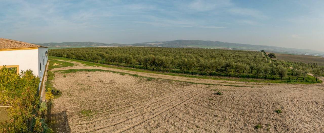 Vivienda Rural Olivar De San Telmo Arcos de la Frontera Zewnętrze zdjęcie