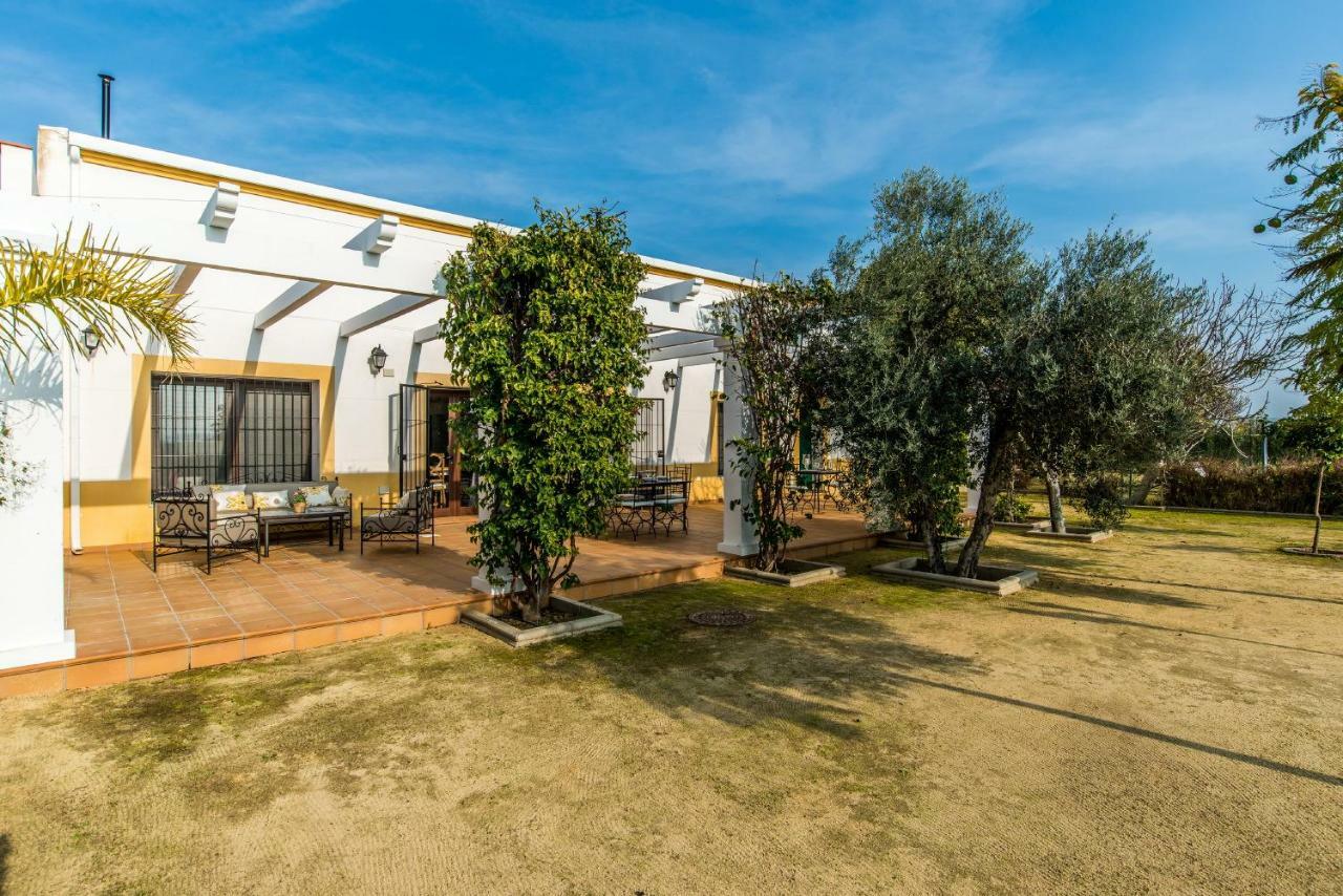 Vivienda Rural Olivar De San Telmo Arcos de la Frontera Zewnętrze zdjęcie