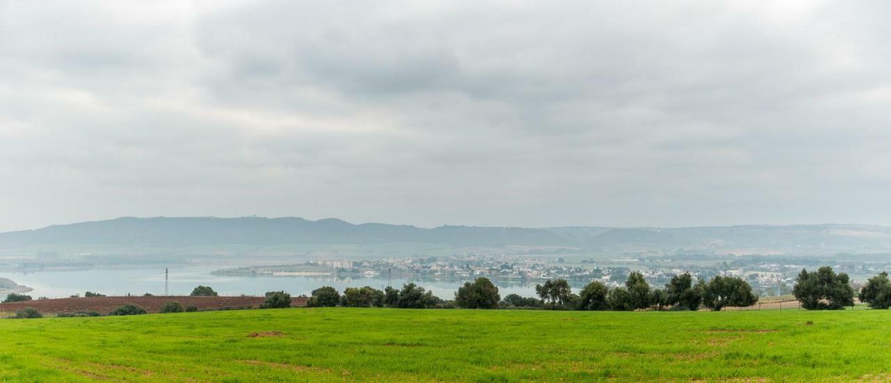 Vivienda Rural Olivar De San Telmo Arcos de la Frontera Zewnętrze zdjęcie
