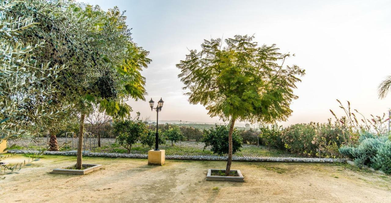 Vivienda Rural Olivar De San Telmo Arcos de la Frontera Zewnętrze zdjęcie